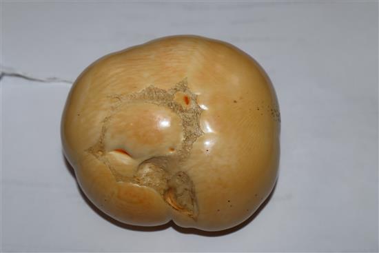 A good Japanese ivory model of a persimmon fruit, early 20th century, three character signature and seal, remnants of colouring to base